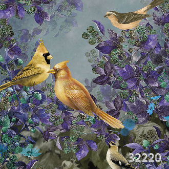 Ashford garden after rain