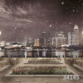 Вид на небоскрёбы