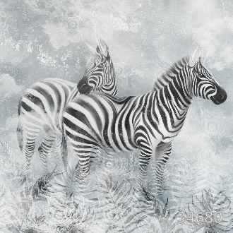 Зебры в тумане