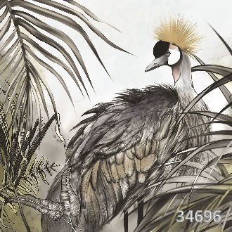 Аист венценосный