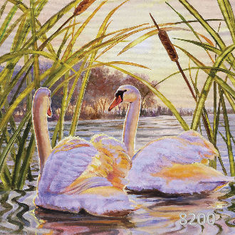 Вечерняя прогулка