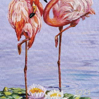 Свидание фламинго